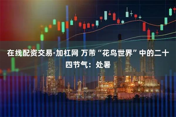 在线配资交易·加杠网 万芾“花鸟世界”中的二十四节气：处暑